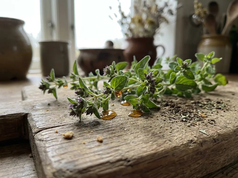 Fresh wild oregano sprigs beading with oil on a rustic wooden table